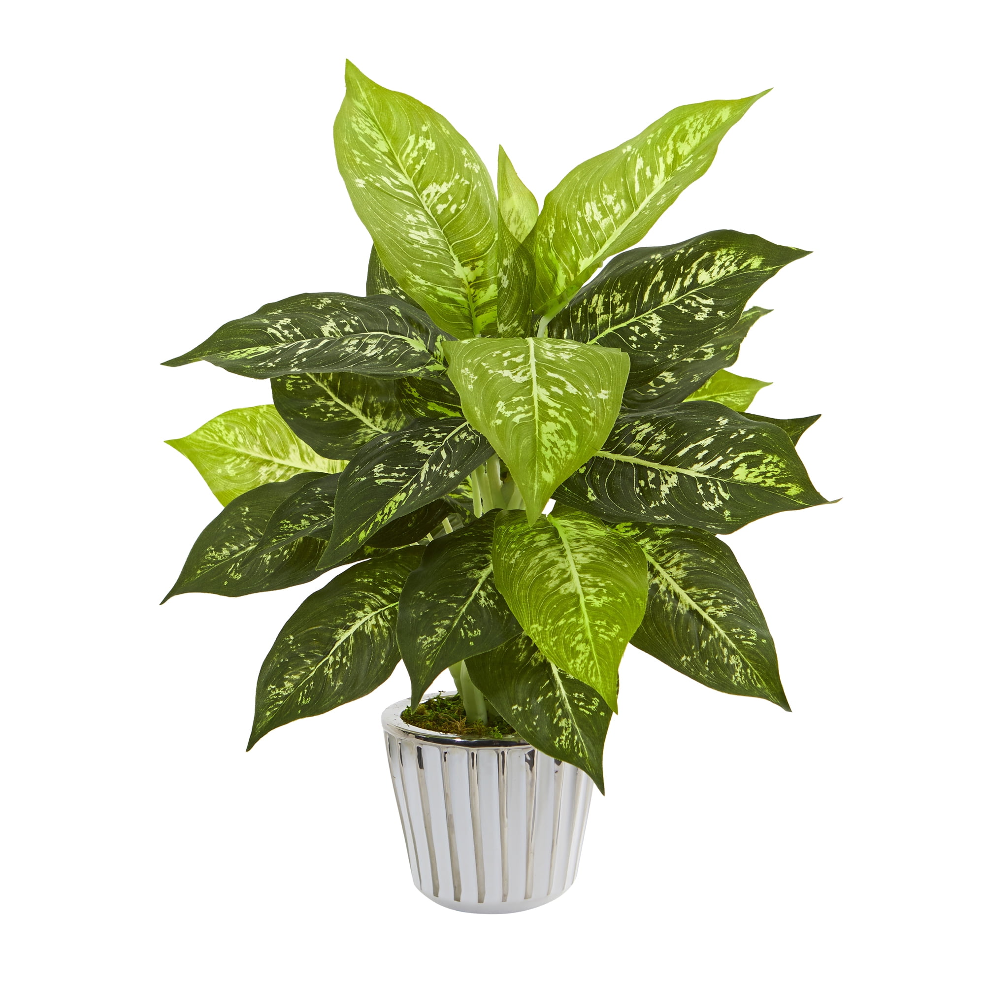Nearly Natural 19in. Dieffenbachia Artificial Plant in White Vase (Set of 2)