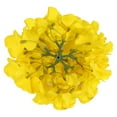 thumbnail image 4 of ZFSBZBS 10 Pack Silk Hydrangea Heads Artificial Flowers Heads With Stems for Home Wedding Decor Yellow, 4 of 6
