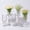 Clear-Crystal, variant on 6 Pack Clear Wide Mouth Mason Jar Vases with Twine, Vintage Farmhouse Rustic Glass Flower Centerpiece Jars for Wedding, Baby Shower, Party Table Decor & Home Floral Arrangement