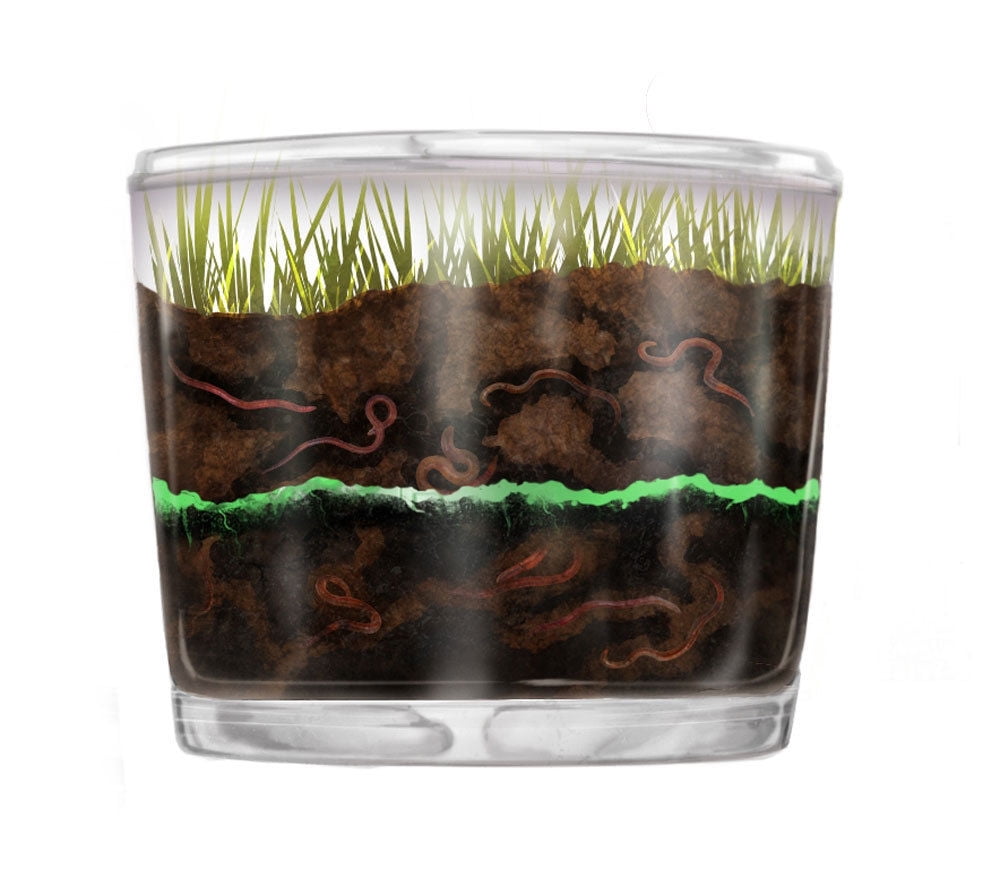 Worm Farm for Kids Worm Observation Kit with 20 LIVE Worms SENT NOW