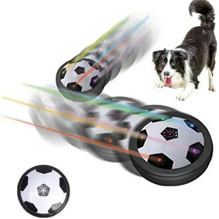 Pet Supplies : Saolife Interactive Dog Toys Dog Balls, Motion