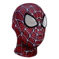 thumbnail image 1 of Spiderman Hood Adulto Niños Máscara divertida Hood Mask-1B esquí esquí Gafas de esquí, 1 of 1