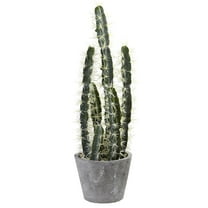 Nearly Natural 4845 Decorative Cactus Garden with Cement Planter Multi Color (4845)