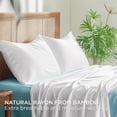 thumbnail image 4 of Pillow Cases Standard Size 2 Pack, Bamboo Rayon with Envelope Closure, Cooling Breathable Pillow Cover for Hot Sleeper & Night Sweats, 20x26 inch, White, 4 of 5