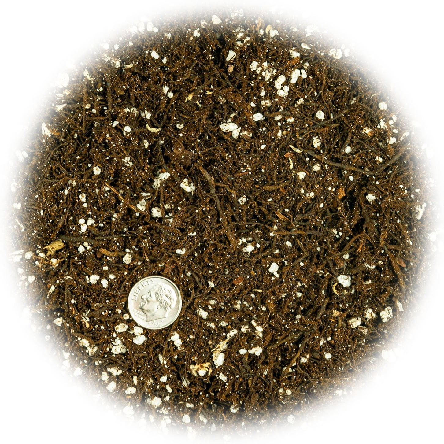 ⭐ FERN + PERLITE Soil Mix for Repotting and Planting Succulents and Cactuses - 4 Quart Bag