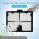 thumbnail image 3 of Ultra-Fine Filter Panels 9991466-R4 for Pool Cleaners Active 10, 3 of 5