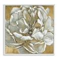 thumbnail image 5 of Stupell Industries Blushing White Magnolia Flower Abstract Floral over Gold Paintings White Framed Art Print Wall Art, 12x12, by Carol Robinson, 5 of 5