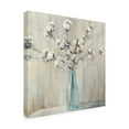 thumbnail image 4 of Trademark Fine Art 'Cotton Bouquet in Bottle' Canvas Art by Julia Purinton, 4 of 4