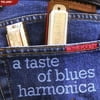 IN THE POCKET: A TASTE OF BLUES HARMONICA