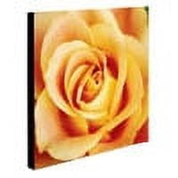 Trademark Fine Art 'Antique Rose' Canvas Art by Kathy Yates