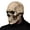 Beige, variant on KatchOn Life Size Human Skull Model 1:1 - Realistic Replica for Halloween Decorations | Resin Head Props for Indoor and Outdoor Home Decor