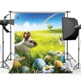 thumbnail image 1 of BSDHOME Polyester 5x7ft Photography Backdrops Easter Theme Eggs Rabbit Flowers Green Grass Field Rainbow Scene Seamless Newborn Baby Toddlers Lover Portraits Background Photo Studio Props, 1 of 3