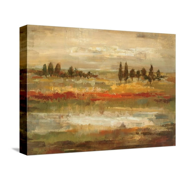 Art.com Summer Fields Stretched Canvas Print Wall Art by Silvia Vassileva, 16" x 12"