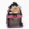 thumbnail image 3 of Transportín portátil MuchL para gatos pequeños y perros pequeños suave cómodo plegable color rosa, 3 of 5