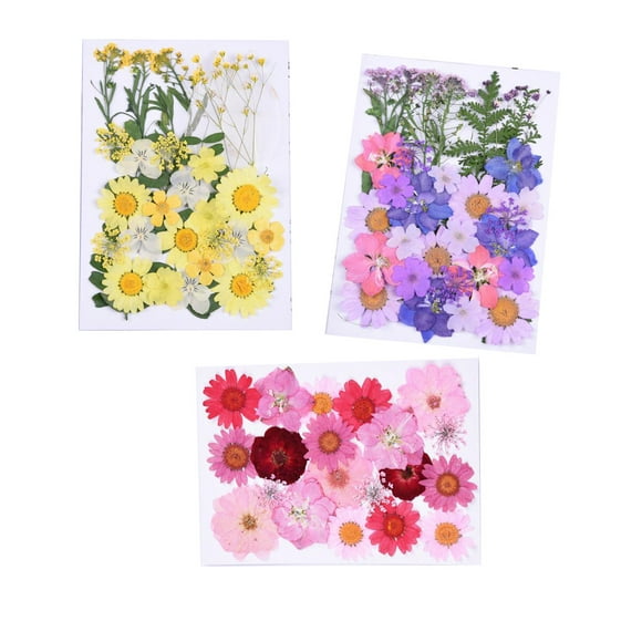 Natural Dried Flowers, Real Dried Pressed Flowers and Leaves Colorful Mixed Dried Flowers