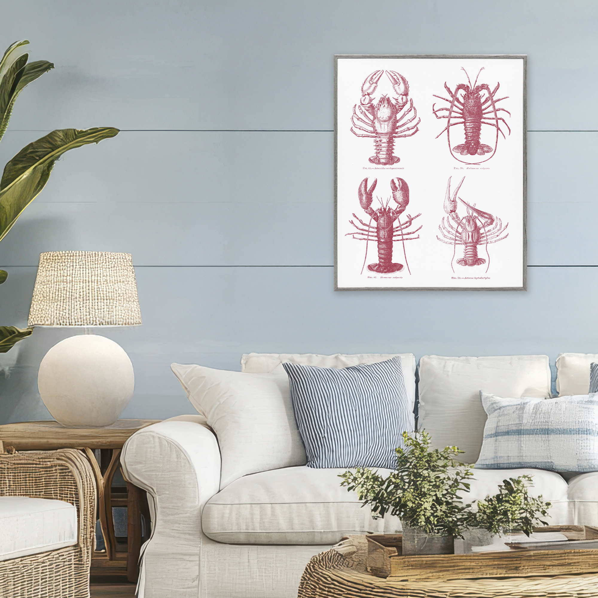 Timeless Lobsters Species Gray Framed Giclee Art, design by Lettered and Lined