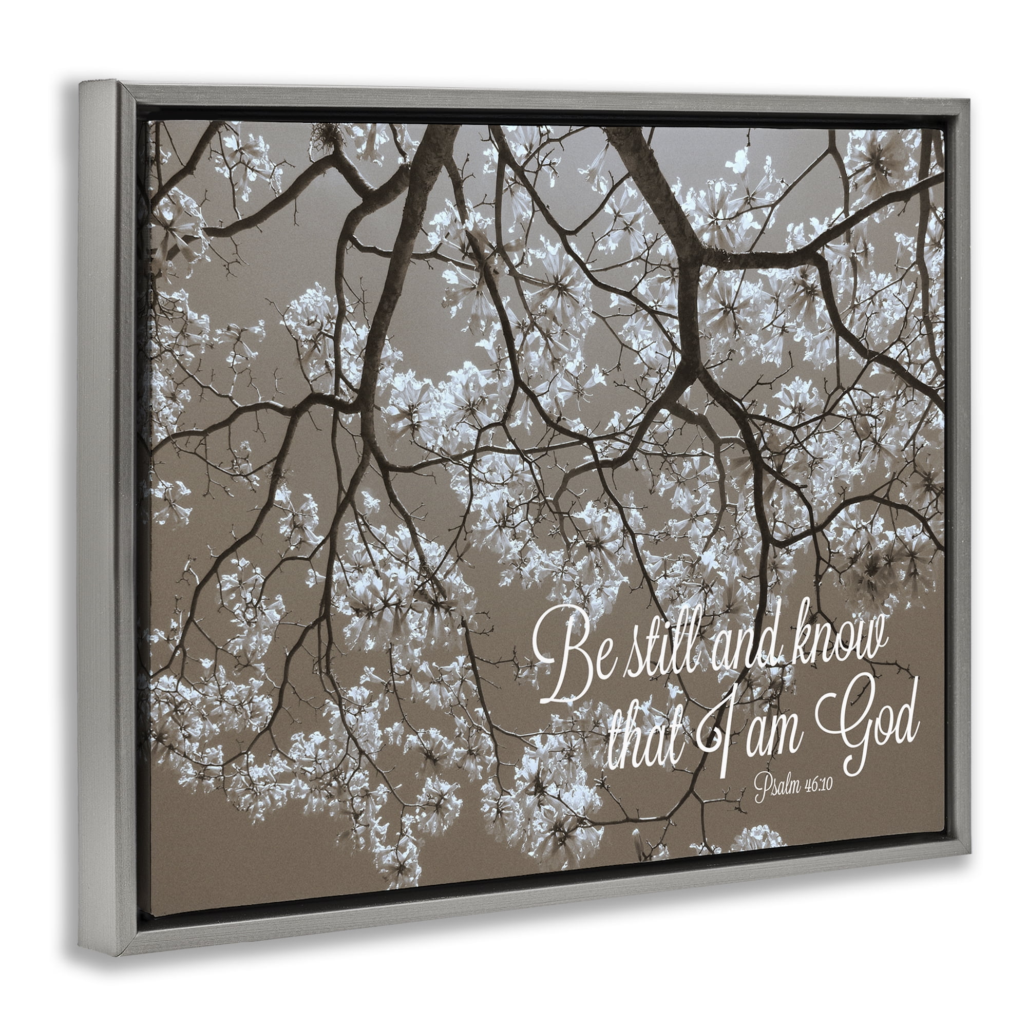 Stupell Industries Be Still Apple Blossoms Gray Framed Floater Canvas Wall Art, design by Gail Peck