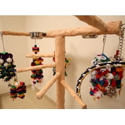 New Large NU Perch Parrot Climbing Tree