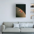 thumbnail image 2 of Trademark Fine Art spacerocket art 663 Canvas Wall Art, 2 of 4