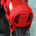 thumbnail image 5 of Oxford Auto Car Roll Bar extintor soporte cinturón accesorios montaje correa, 5 of 5