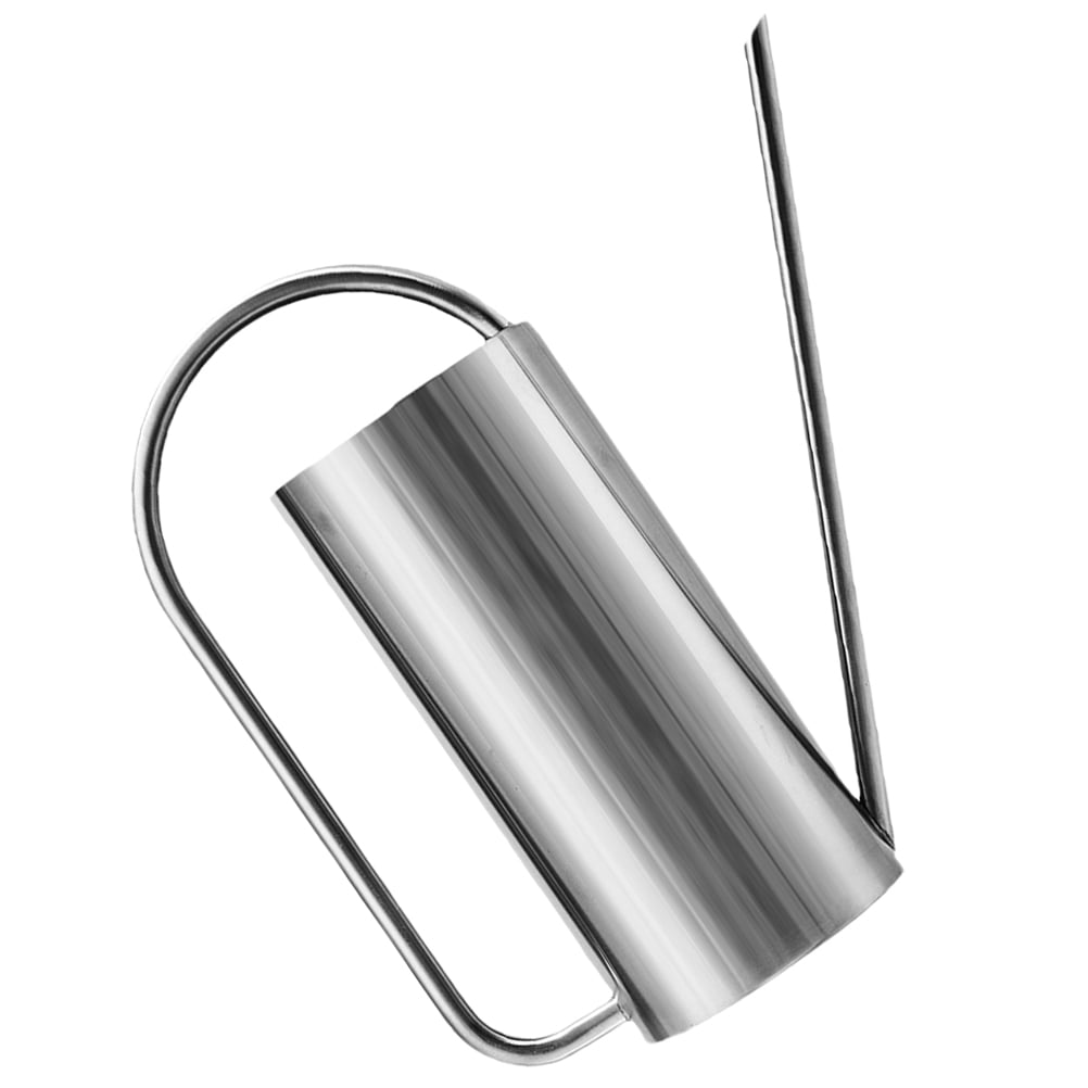 FELTECHELECTR Small Indoor Watering Cans Stainless Steel Silver 1Set