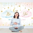 thumbnail image 2 of He Or She Gender Reveal Backdrop Boy or Girl Pink Cloud What Will Baby Be Background Gold Stars Moon Cute Lovely Newborn Party Decorations Banner Photo Booth Props Birthday Supplies, 2 of 6