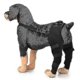 thumbnail image 5 of Dog Hip Brace | Adjustable Leg Support for Dogs | Knee & Joint Protector, 5 of 5