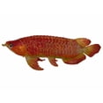 thumbnail image 1 of Bejeweled Arowana Fish, 1 of 1