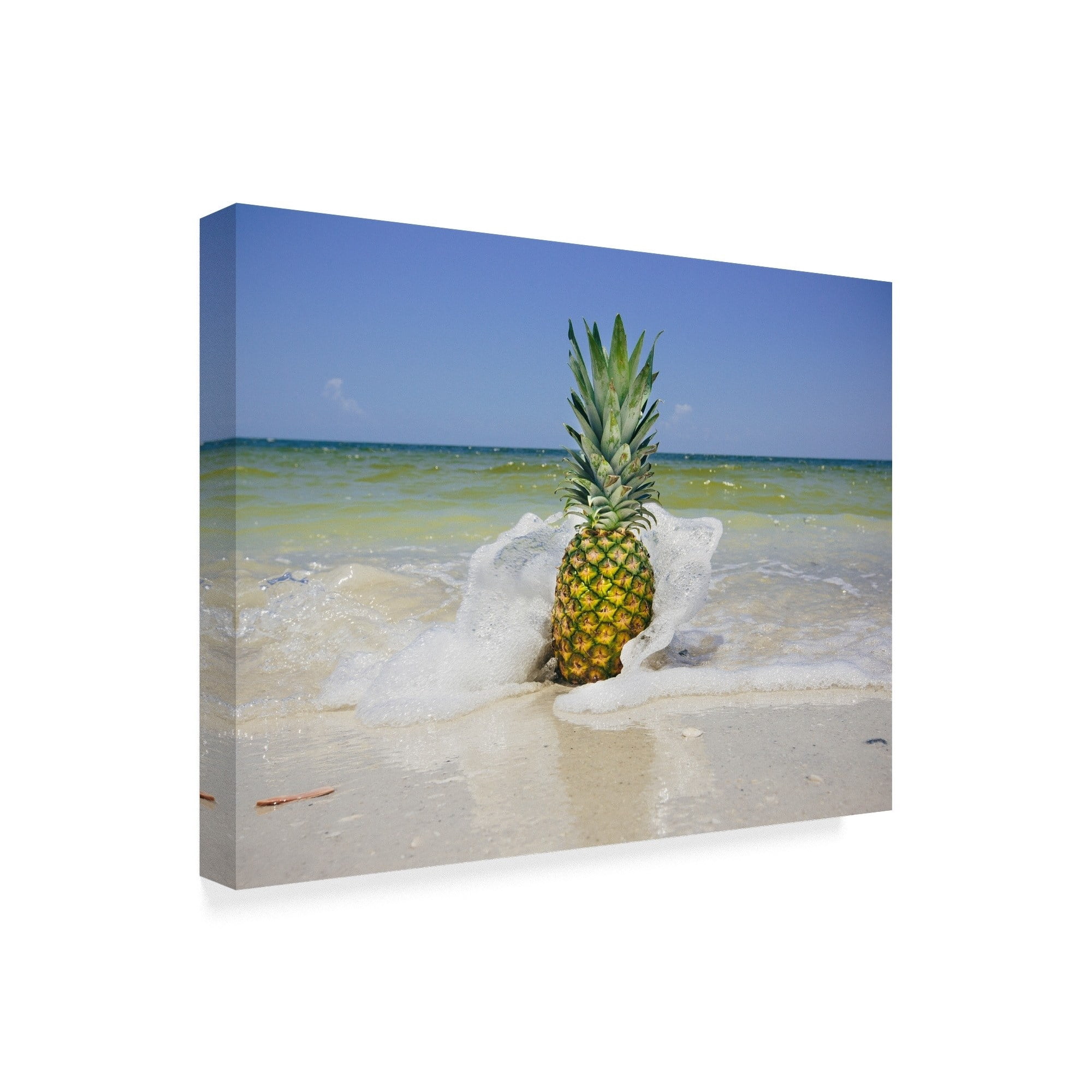 South Florida Pineapple IV' Canvas Art by Adam Mead