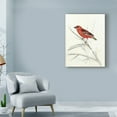 thumbnail image 3 of Trademark Fine Art 'UA CHBR Rustic Aviary IV' Canvas Art by Naomi McCavitt, 3 of 4