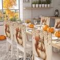 thumbnail image 2 of Fall Cute Chair Covers Set of 1 Squirrel Holding Pine Cone Autumn Leaf Orange Theme Chair Back Covers Stretch Removable Washable Slipcovers Protector for Dining Room Kitchen Party Decor, 2 of 5