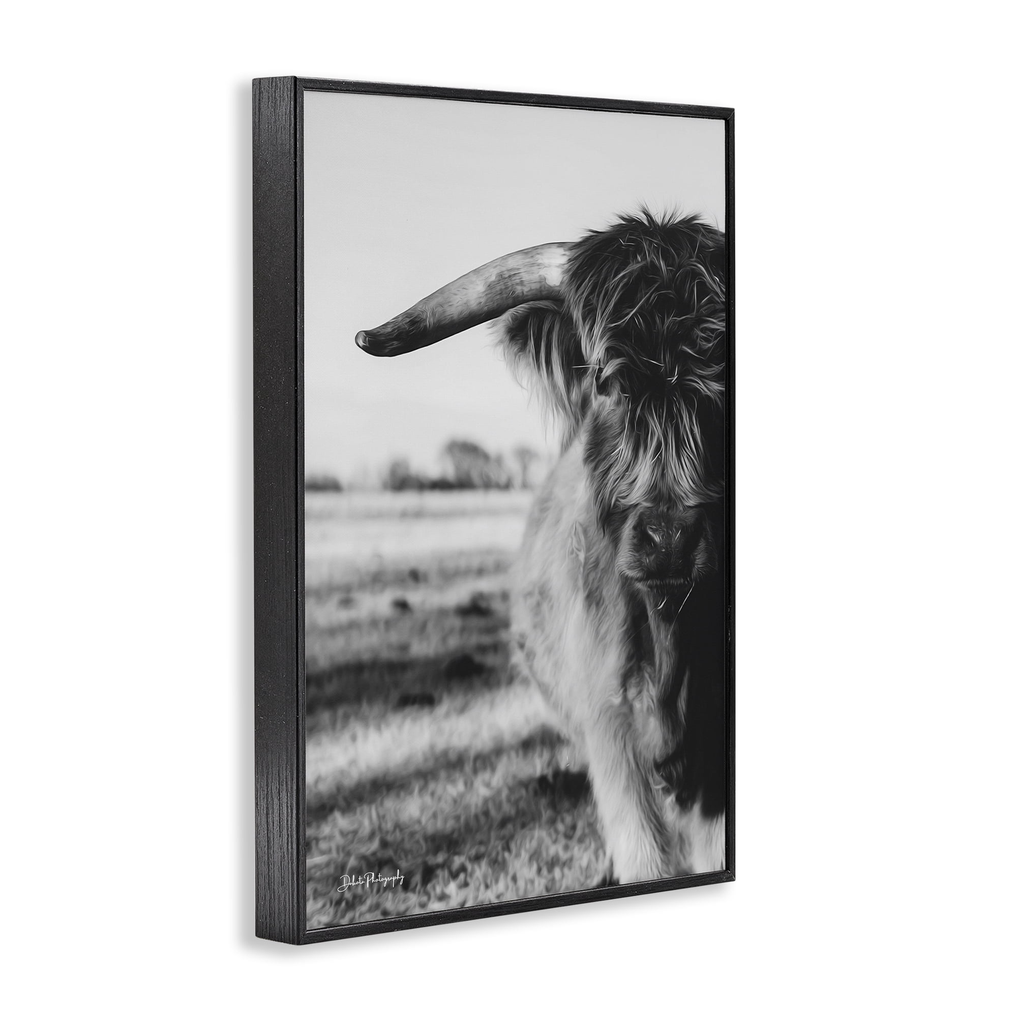 Stupell Industries Baby Cattle in Monochrome Black Framed Giclee Art, design by Dakota Diener