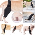 thumbnail image 1 of Rodillera QUETOi para perros, soporte para rodilla de mascota, vendaje para patas delanteras y traseras, protector de codo canino, manga de recuperación para artritis u osteoartritis, negra (L), 1 of 5