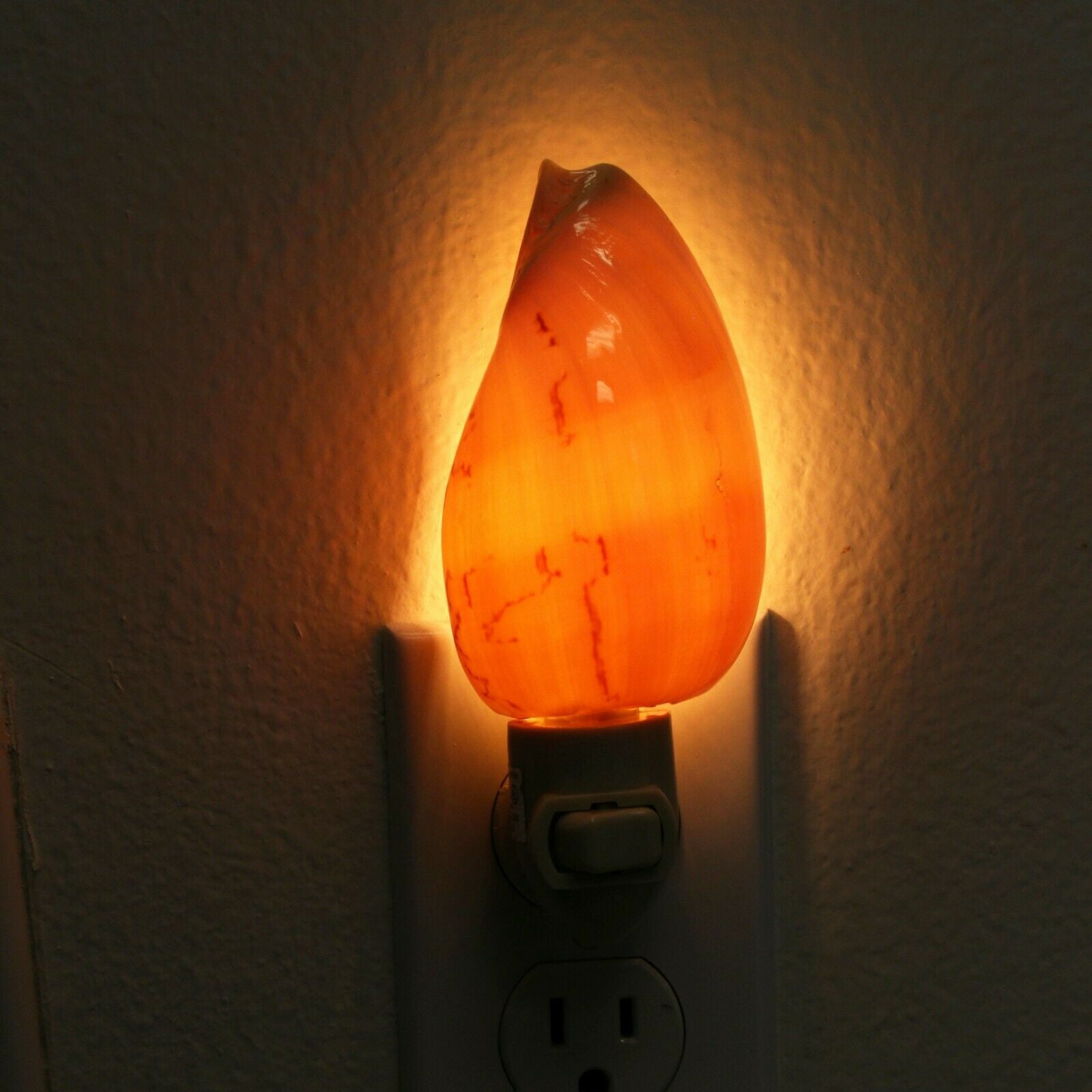 Real Cerith Shells Seashell Nightlight Lamp Decorative Home Decor PA 05
