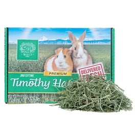 Tropical Carnival Guinea Pig Food Walmart