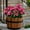 Watermelon Red, variant on Outdoor Artificial Azalea Flowers UV Resistant Greenery Faux Shrubs for Porch Garden Wedding