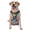 thumbnail image 1 of Balery Ink Style Wave Dragon Arnés para Perros Grandes Antitirones, Arnés con Correa para Gato, Arnés Tipo Chaleco para Perros Pequeños-X-Large, 1 of 6