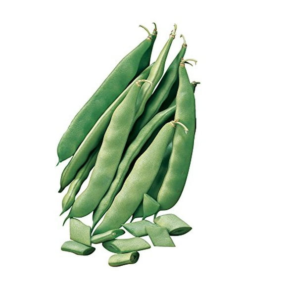 Burpee Early Italian Bush Bean Seeds 2 ounces of seed