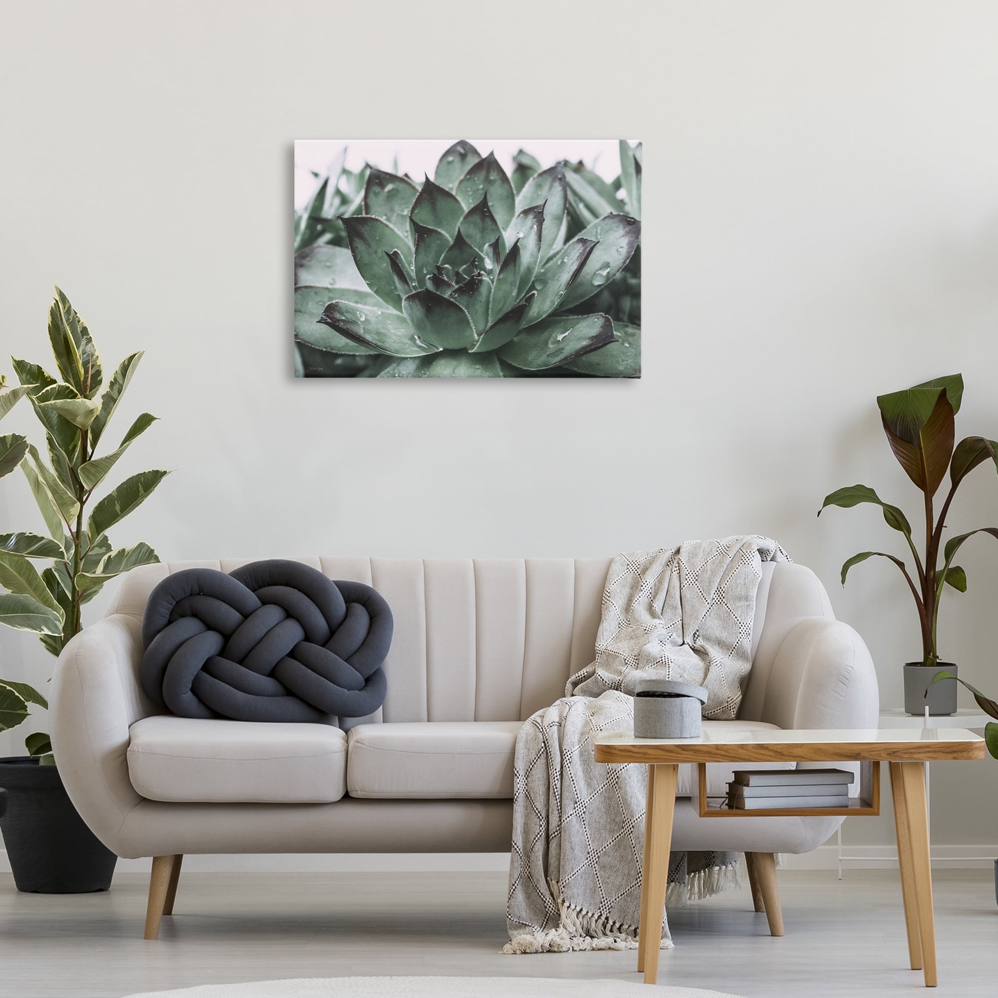 Stupell Industries Succulent with Rain Droplets Plants & Flowers Painting Wrapped Canvas Art Print Wall Art, 30 x 20