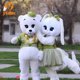 thumbnail image 2 of Disfraz de mascota oso de peluche para adultos, disfraz de cosplay para Halloween, carnaval, fiesta, evento, boda, oso, conejo de Pascua, disfraces de conejo, 2 of 5