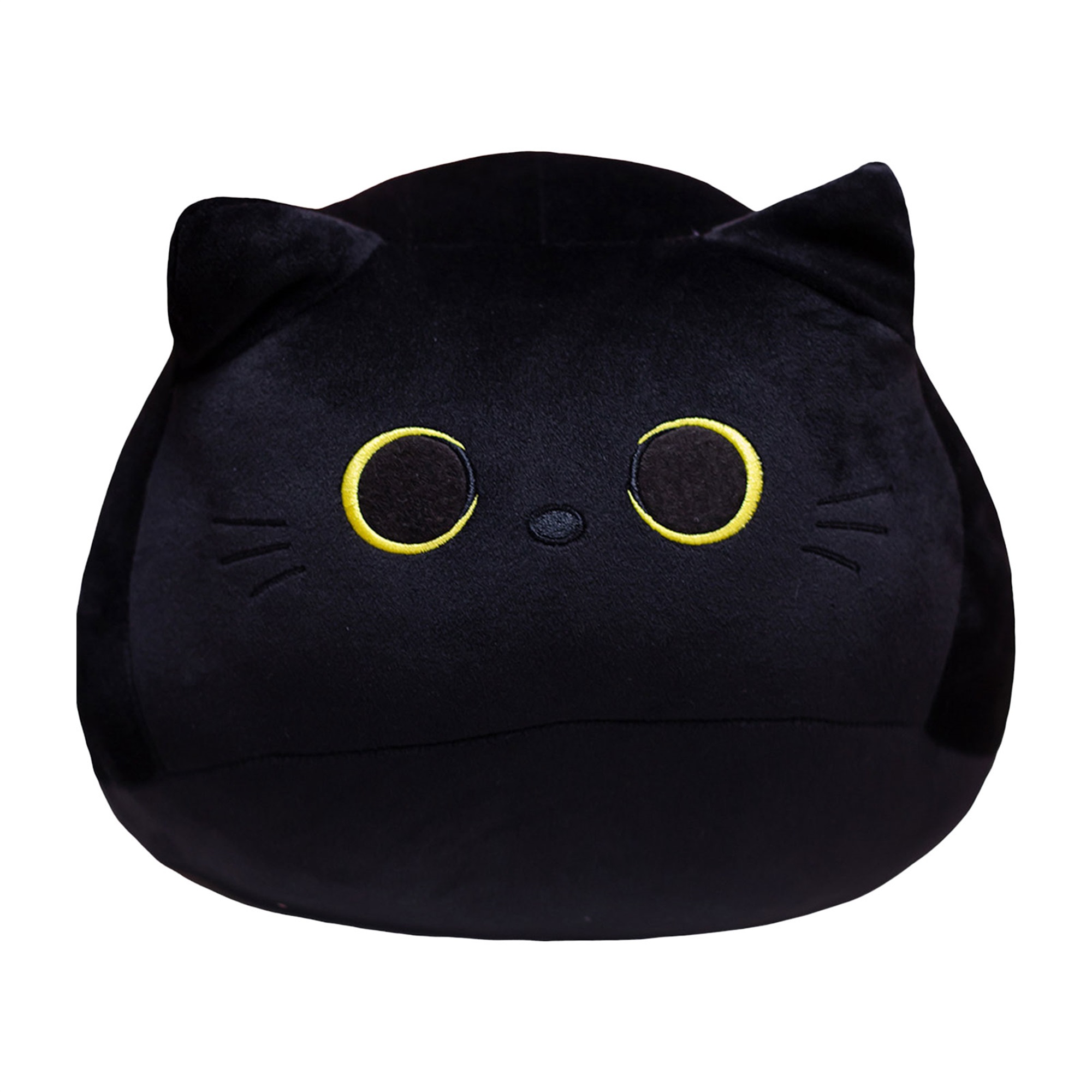 How To Get A Cat Used To A New Home