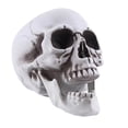 thumbnail image 2 of Buateil Life Size Human Skull Model Halloween Decor Skeleton Skull Realistic Human Adult Skull Head Bone Model Graveyard Outdoor Decor, 2 of 7