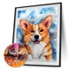 thumbnail image 1 of Cuadros Decorativos Kits de pintura de diamante 5D Corgi Full Round Drill DIY Wall Art Crafts (FH667) Sywqhk Nuevos Originales, 1 of 1