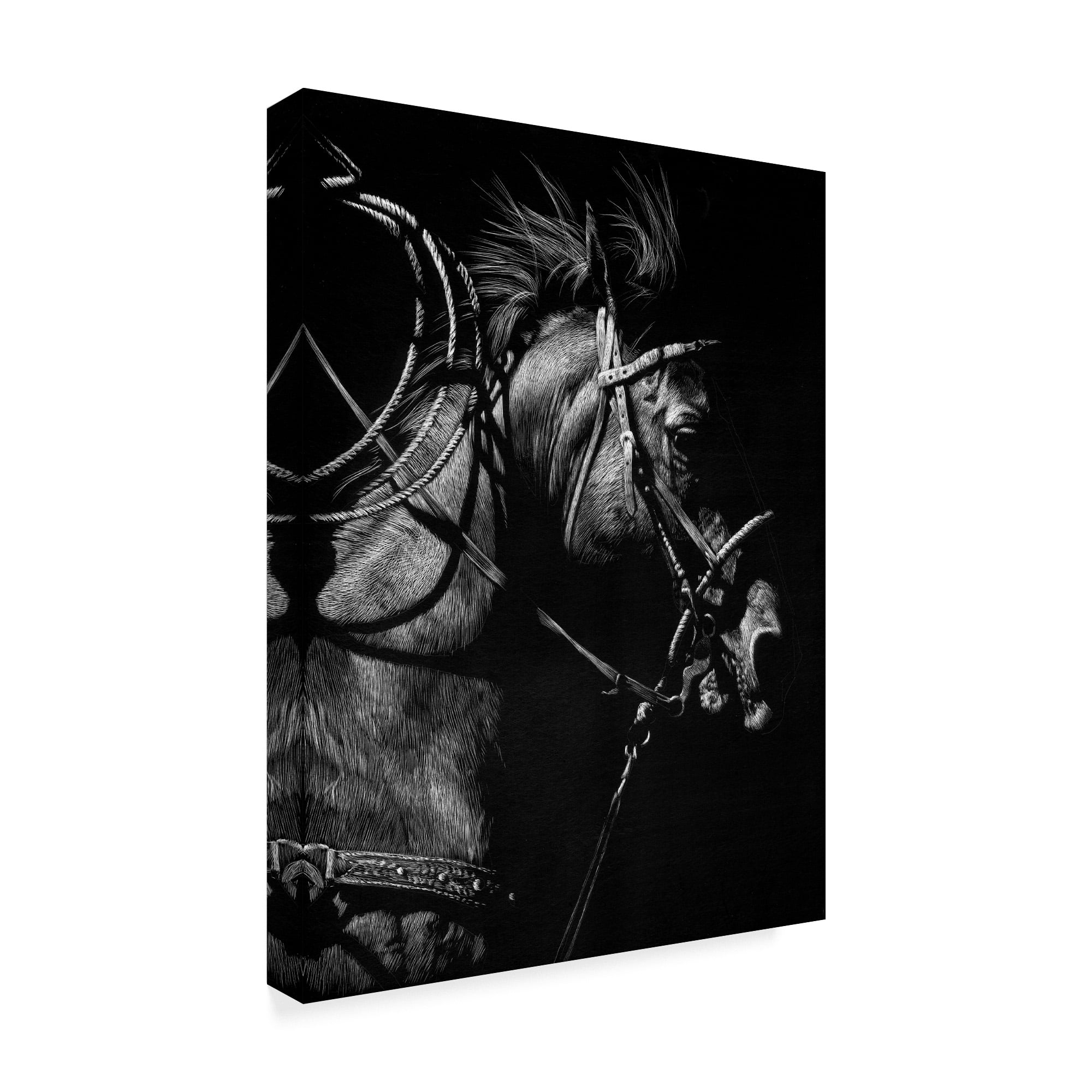 Trademark Fine Art 'In Pursuit' Canvas Art by Julie T. Chapman