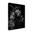 thumbnail image 2 of Trademark Fine Art 'In Pursuit' Canvas Art by Julie T. Chapman, 2 of 3