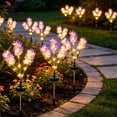 thumbnail image 2 of Rirool Solar Hyacinth Flower Lights Outdoor 2 Pack, Color Changing LED Garden Lights Waterproof Auto On/Off for Yard Patio Pathway Purple, 2 of 8