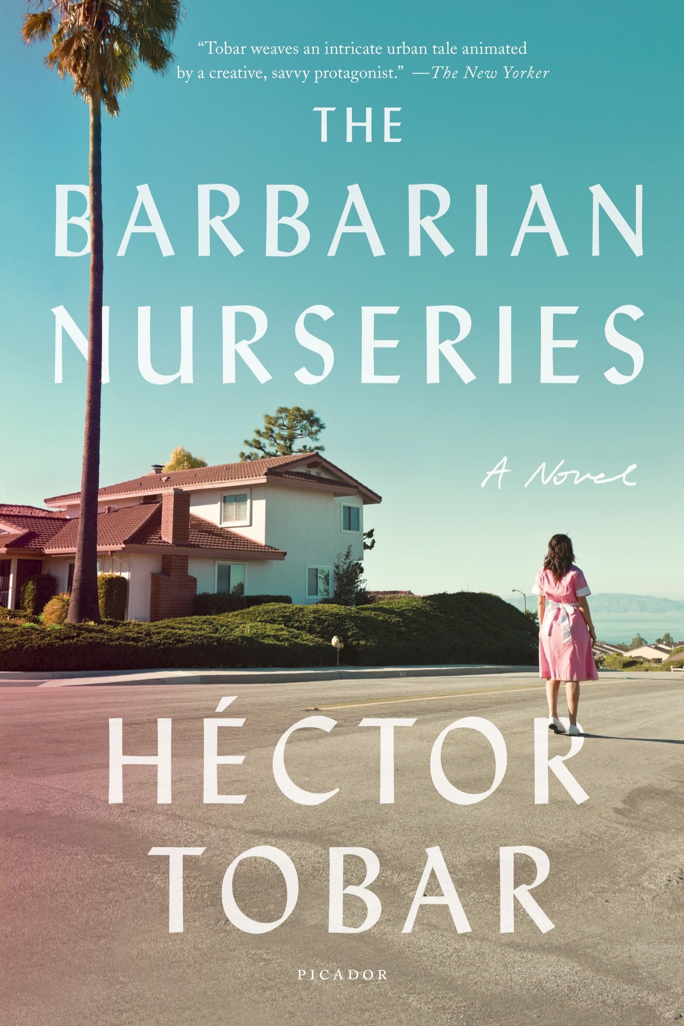 Surviving As A Barbarian Novel The Barbarian Nurseries : A Novel - Walmart.com
