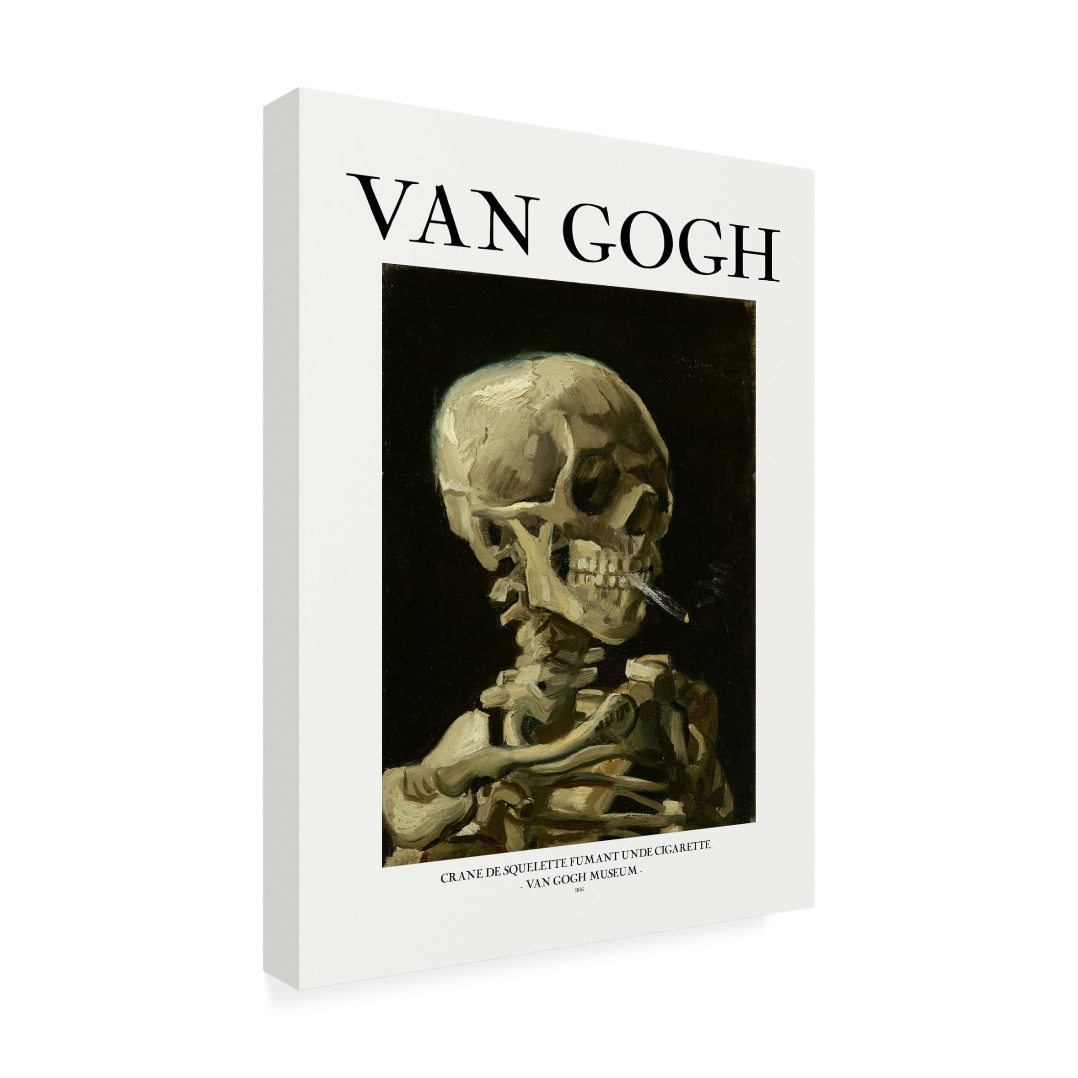Trademark Fine Art Pictufy Head of a skeleton Canvas Wall Art