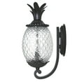thumbnail image 5 of Acclaim Lighting 7501 2 Light 18" Height Pineapple Outdoor Wall Sconce From The, 5 of 15