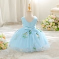 thumbnail image 5 of FINALGANG Girls Kids Floral Embroidered Tulle Dress Sleeveless V Neck 3D Flower Decor Flared Skirt Princess Party Dress For Daily Wear Blue 3-6 Months, 5 of 6
